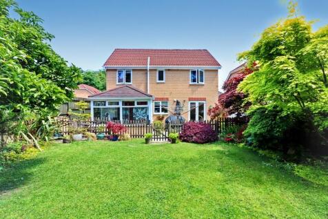 Property Image 36