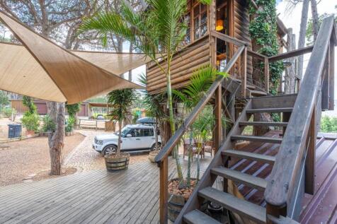 Stairwell to tree house study