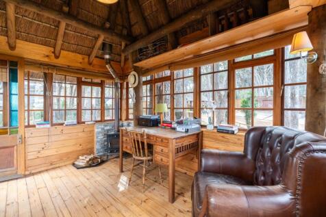 Tree house study 