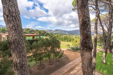 View from treehouse study toward tennis courts