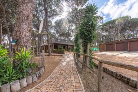 Entrance driveway toward airbnb cottages and garages
