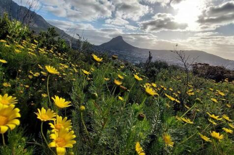 Beautiful Mountain trails within close proximity 