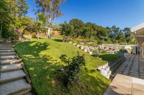 Terraced back garden