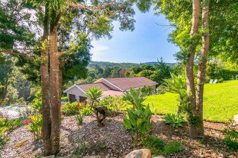 View from top of property down to house