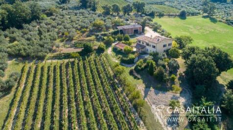 Property Image 29