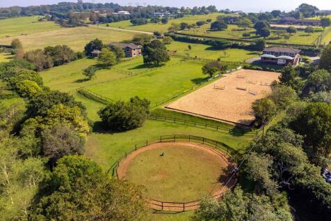 Amazing equestrian facilities
