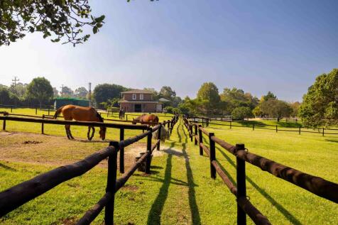 Path leading from house to stables