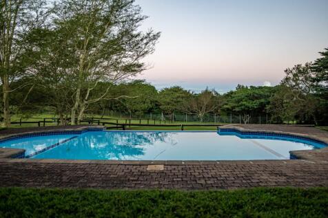 Large sparkling swimming pool