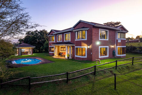 Views of the paddocks from all angles