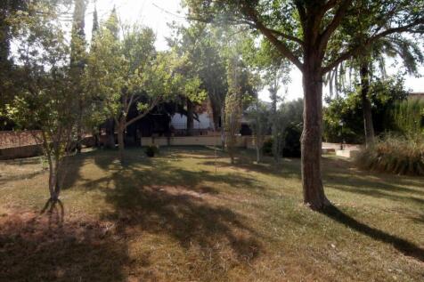 Property Image 22