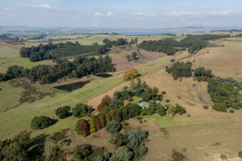 Farm views