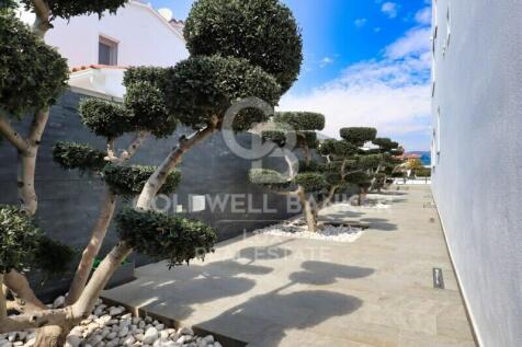 Property Image 39
