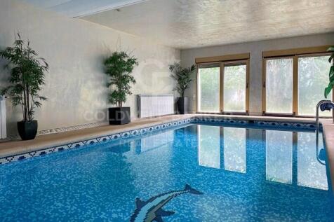 Property Image 39