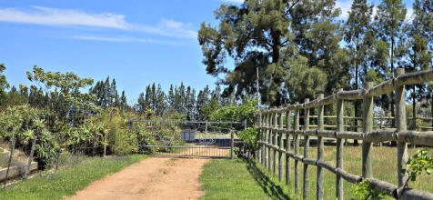Entrance Gate