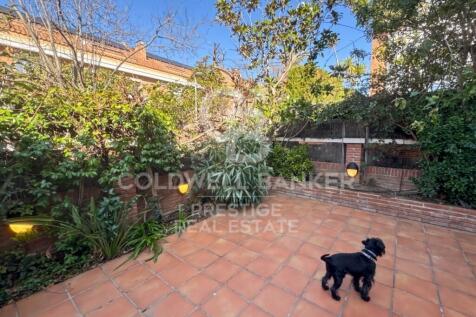 Property Image 56