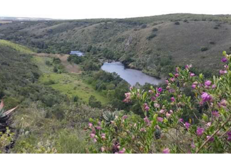 Magnificent views