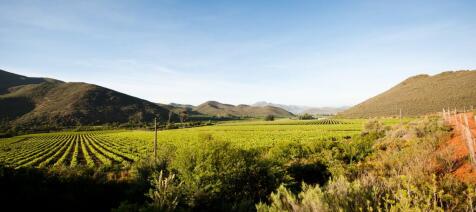 Property Image 38