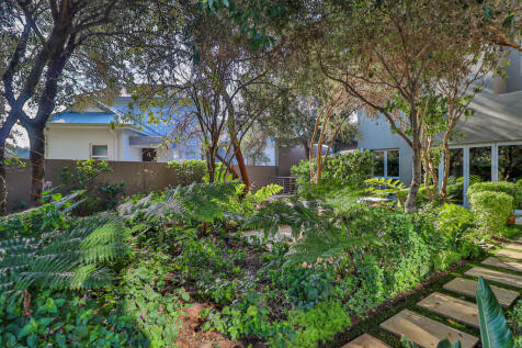 Mature garden
