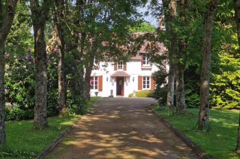 Property Image 13