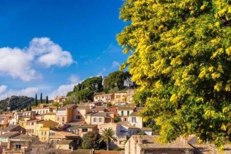Scenic view of the small village of Bormes le Mimosas in south of France with yellow mimosas blooming under warm winter sunlight