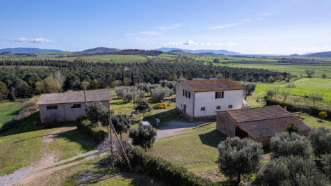 DJI_0117-HDR.jpg