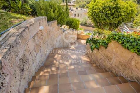 Property Image 71