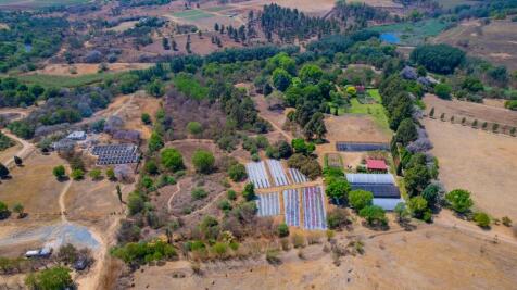 Satellite View/ Greenhouse