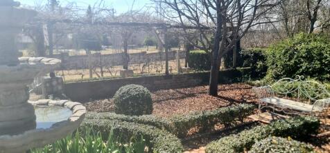 Pergola with vineyard in front