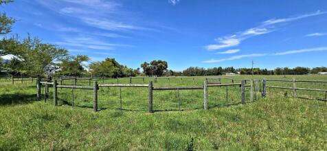 Training Circle for Horses