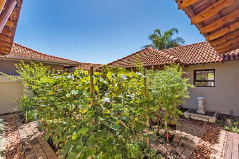 Vegetable Courtyard With Fruit Trees And Grape Vines