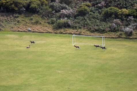 See we can play soccer