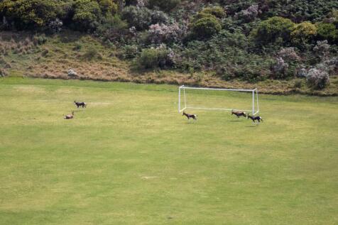See we can play soccer