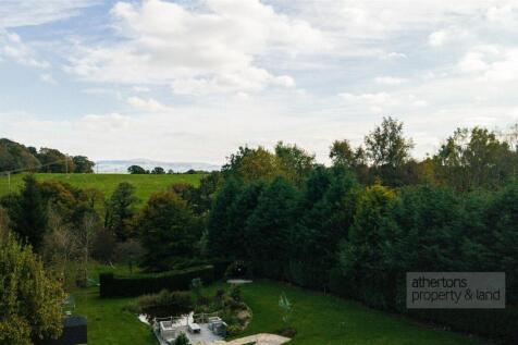 DJI_0445.jpg