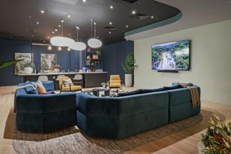 Large TV Area 2