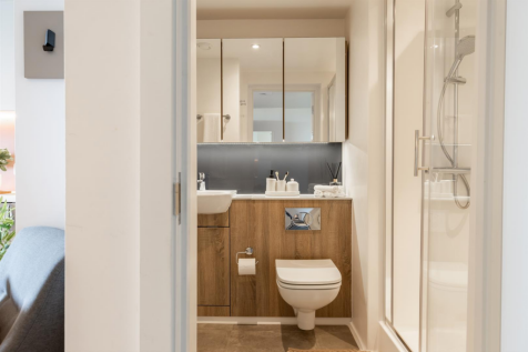 Property Image 60