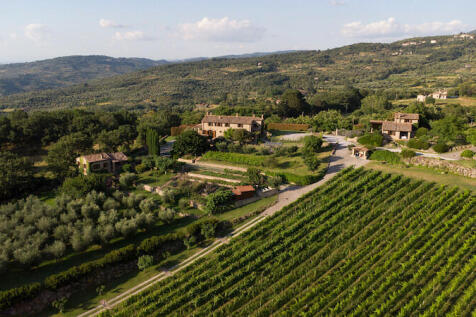 Vineyard view