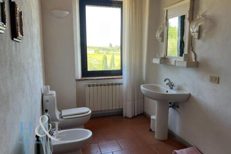 Bathroom with view