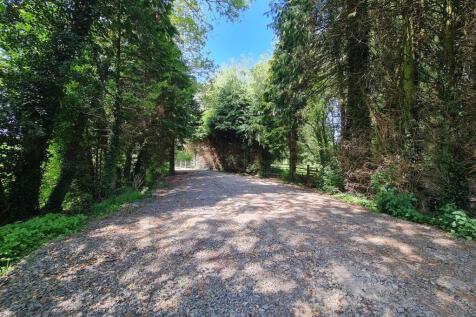 Driveway.jpg