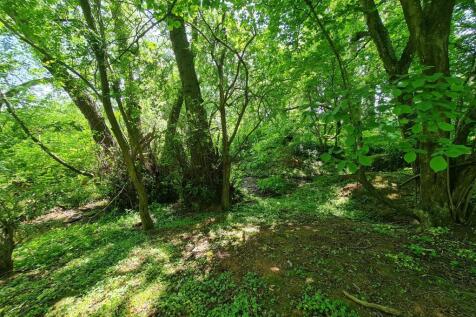 Wooded glade 2.jpg