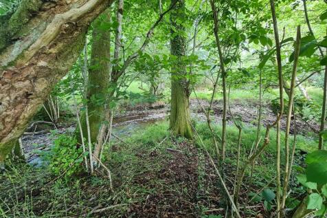 Streamside in off-lying paddock
