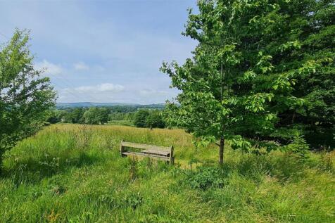 Cropped Bench and View.jpg