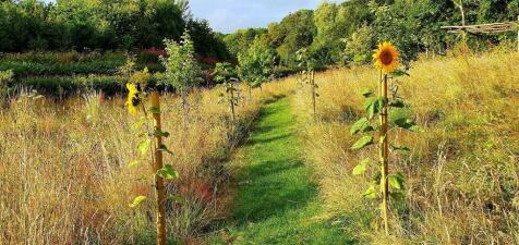 IMG_7330.jpeg