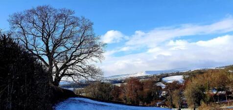 IMG_7628.jpeg