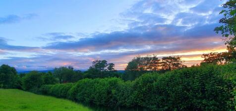 IMG_7636.jpeg