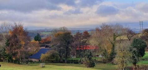 IMG_7657.jpeg