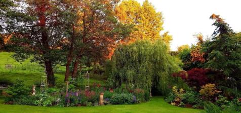 IMG_7666.jpeg