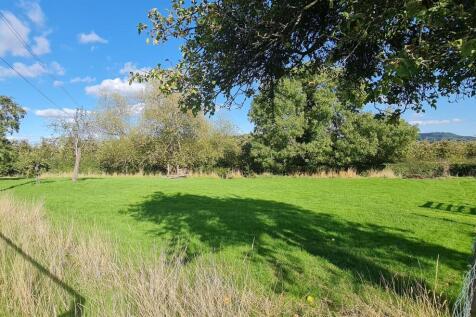 Small paddock.jpg