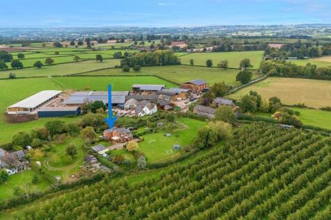 Location on drone image.jpg