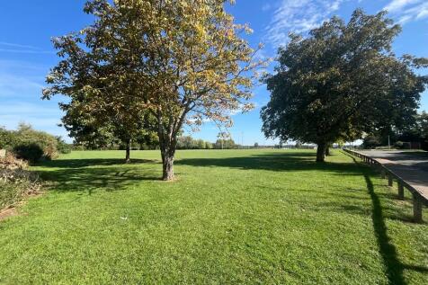 Field
