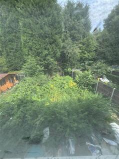 IMG-20250806-WA0100.jpg